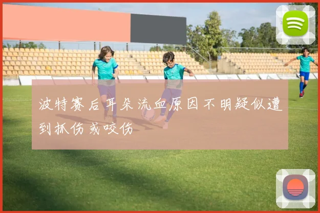 波特赛后耳朵流血原因不明疑似遭到抓伤或咬伤