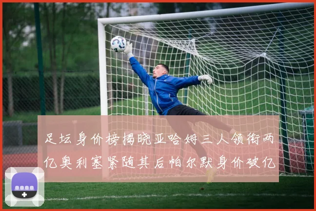 足坛身价榜揭晓亚哈姆三人领衔两亿奥利塞紧随其后帕尔默身价破亿